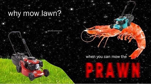 yes brother