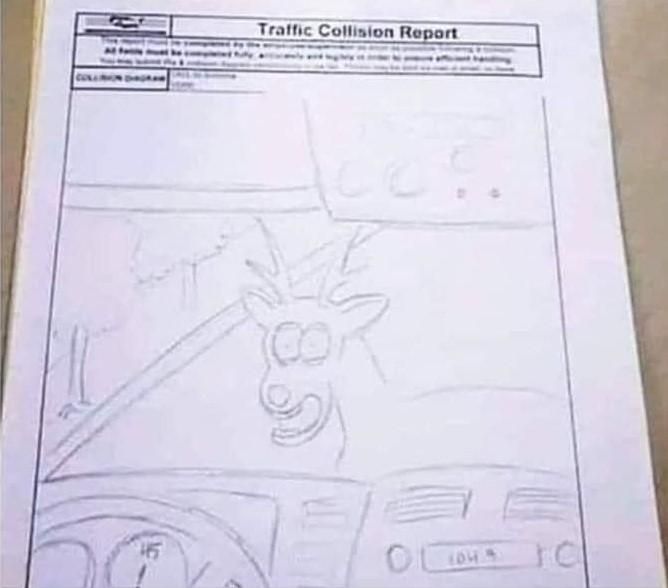 Insurance company wants a diagram of the accident and this guy just nailed it.