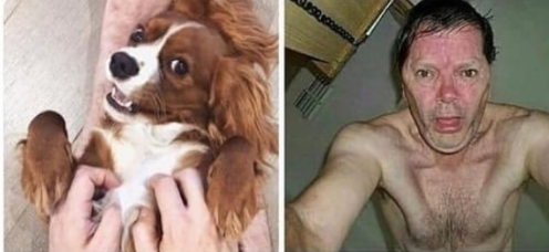 Bruh, we don't deserve dogs, let's be real