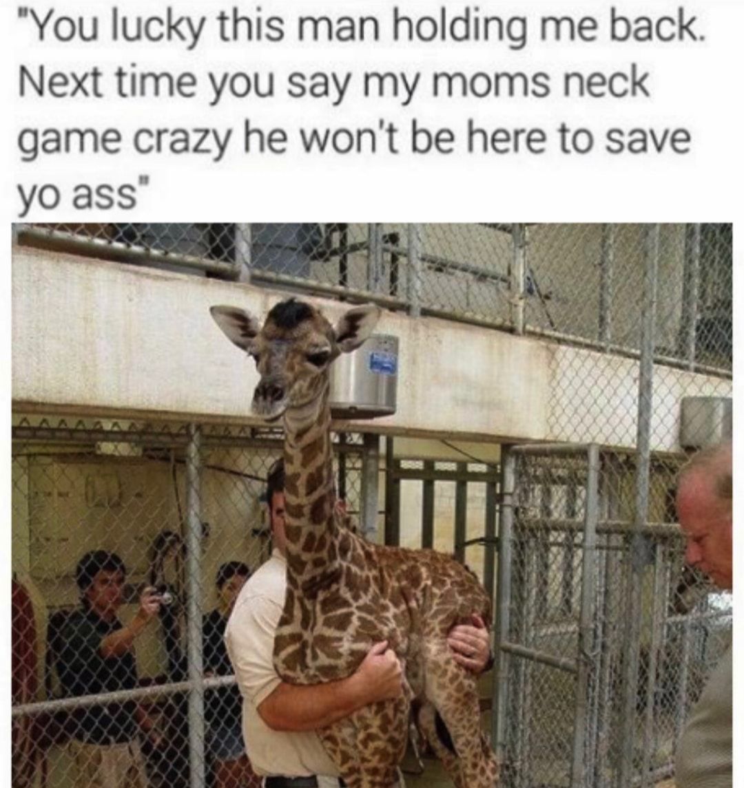 I mean... I couldn't use it anyways