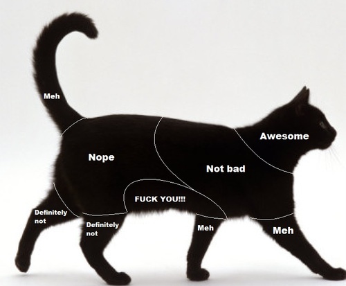 Cat petting chart