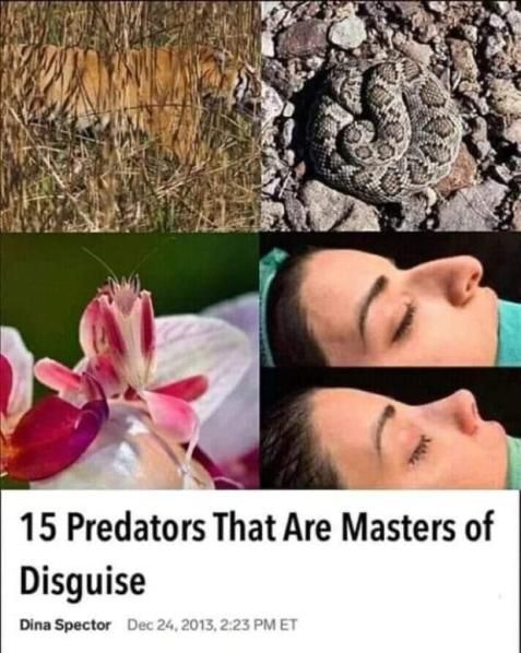 yes