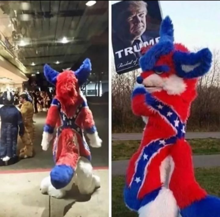 God bless America, also is that a tail *** or ***tail