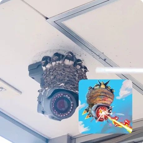 Armed government drones