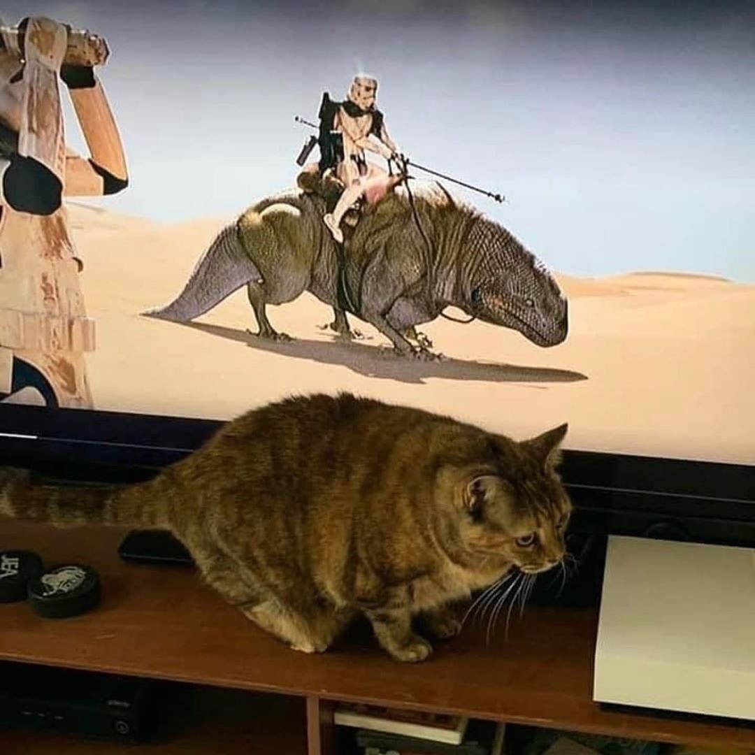 big Dewback energy