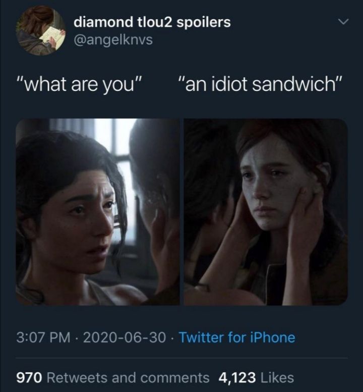 Bigot sandwich