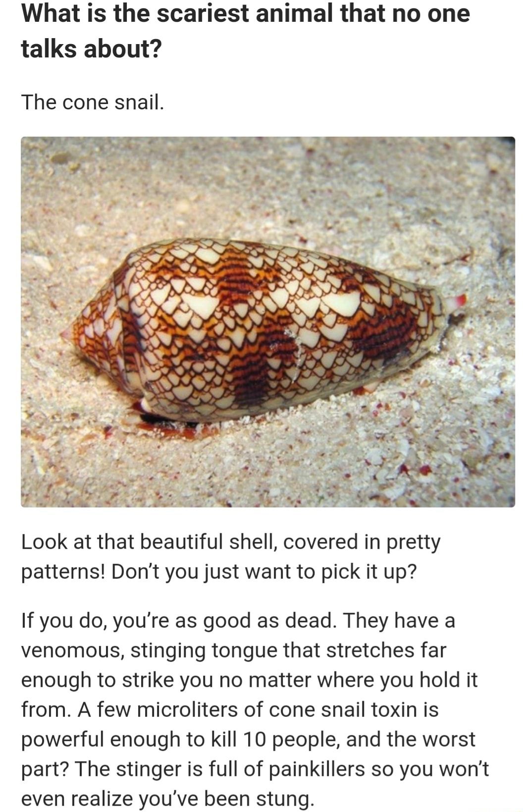 I would still