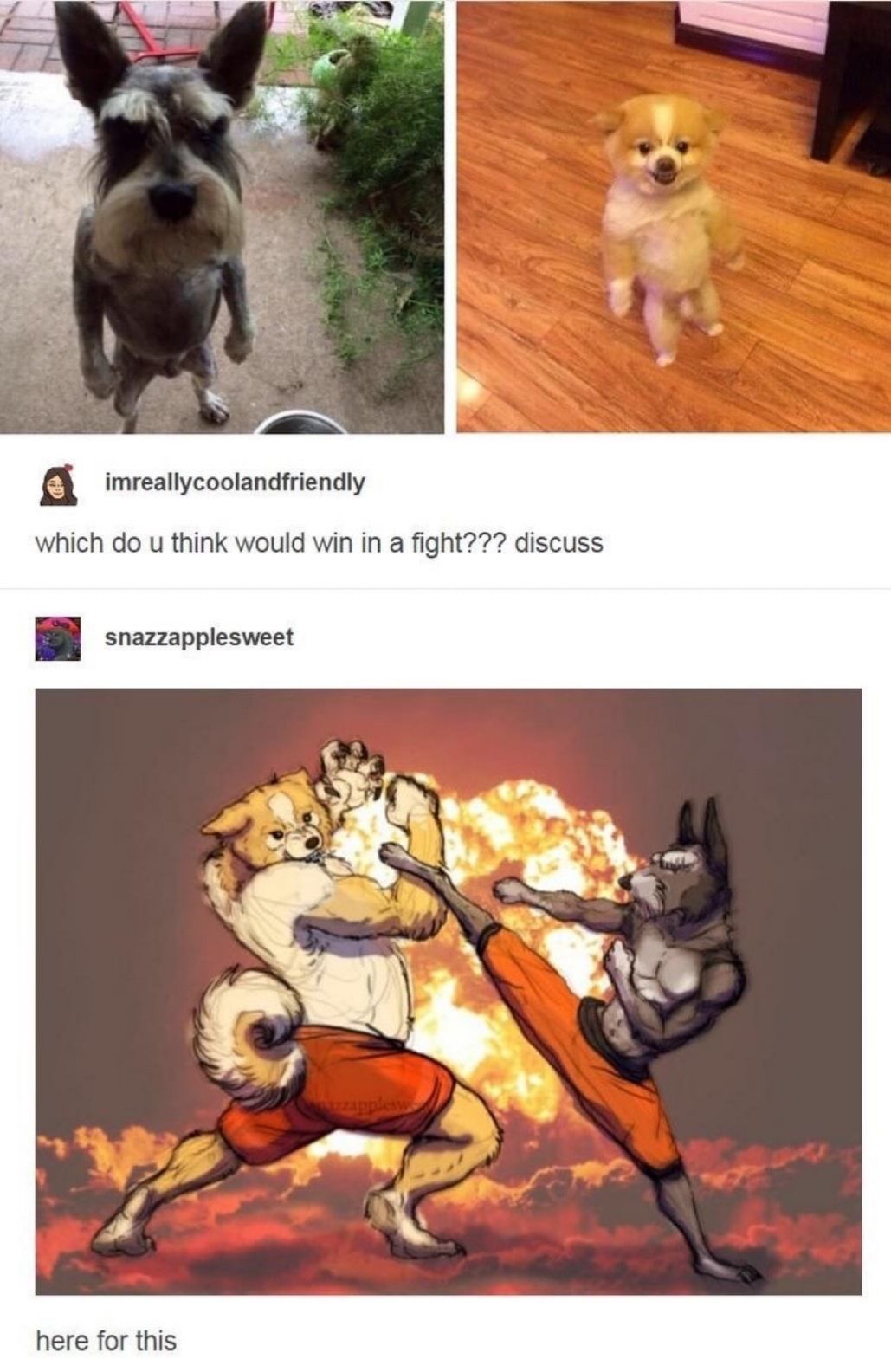 Our battle will be legendary