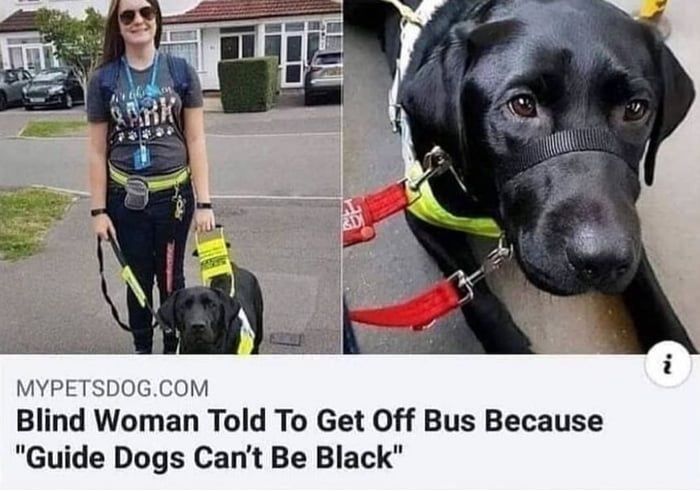 They told me they gave me a German shepherd
