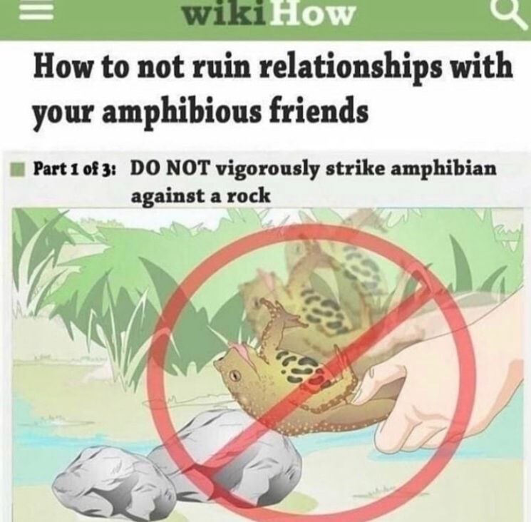 At least it's not Wednesday's my dudes