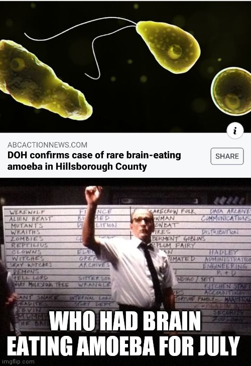 Brain eating amoeba for July.