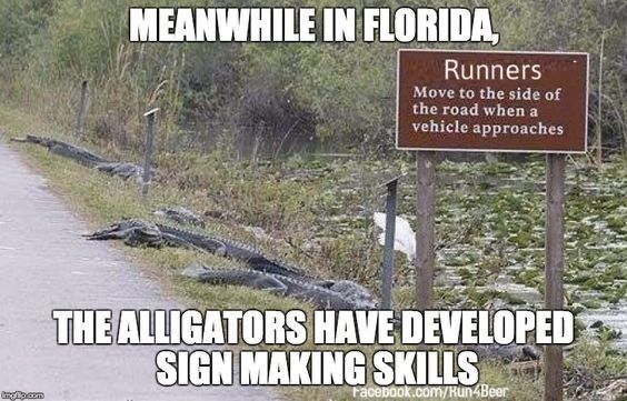 Ah crap, Florida gators getting smart