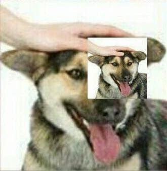 hand