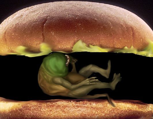 Anyone wants a cucumber burger?