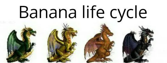 ( ( ( (