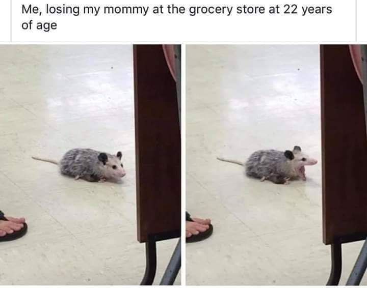 truer panic is not known to mankind