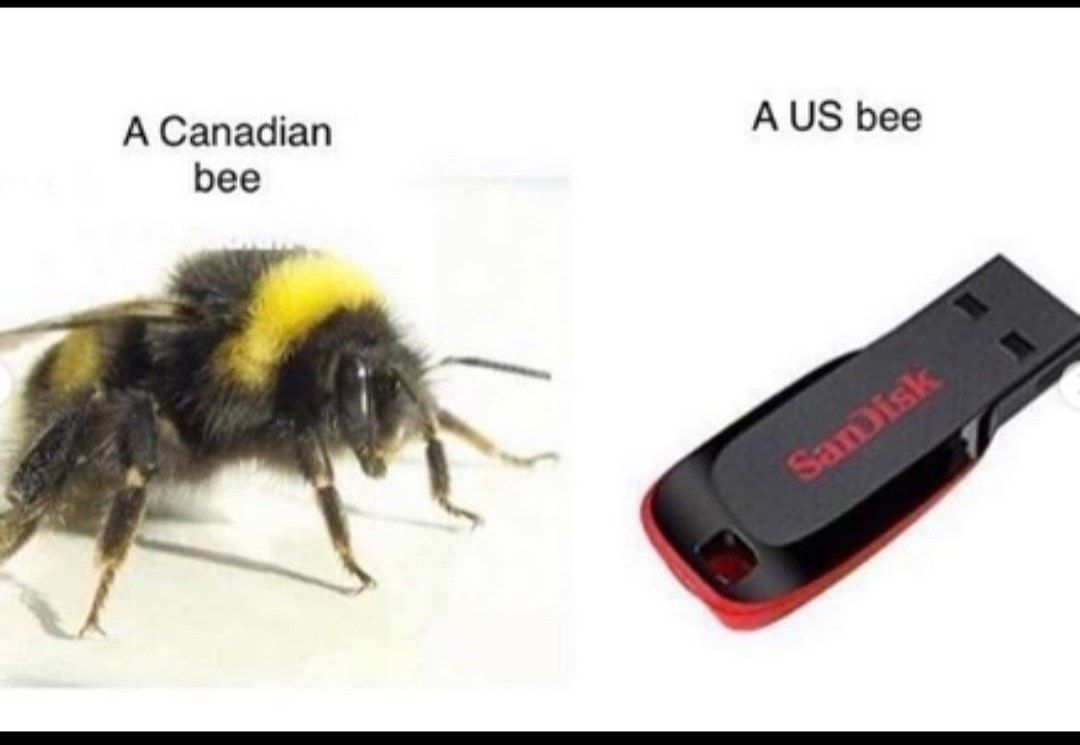 any of ya brehs like the two c bee?