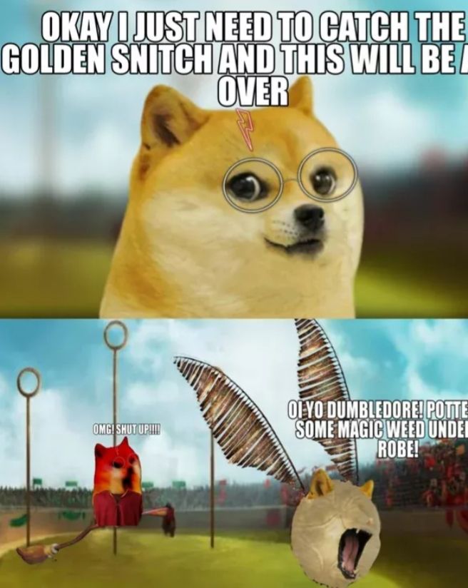 Capture it before it tells people where I get my memes...
