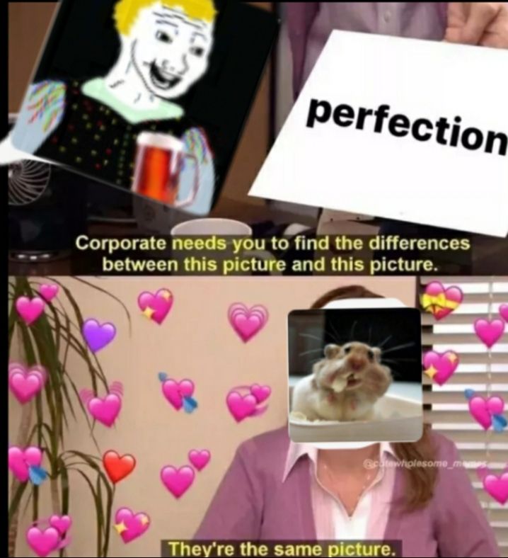 Same picture (づ￣ ³￣)づ