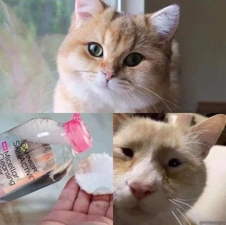 Makeup is a fraud