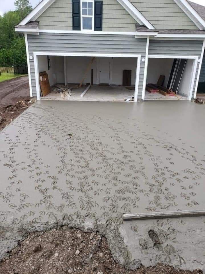 A driveway crew was pouring concrete at a new house next to a duck pond. They went to lunch and came back to this...
