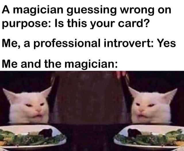 Occupation: Professional introvert