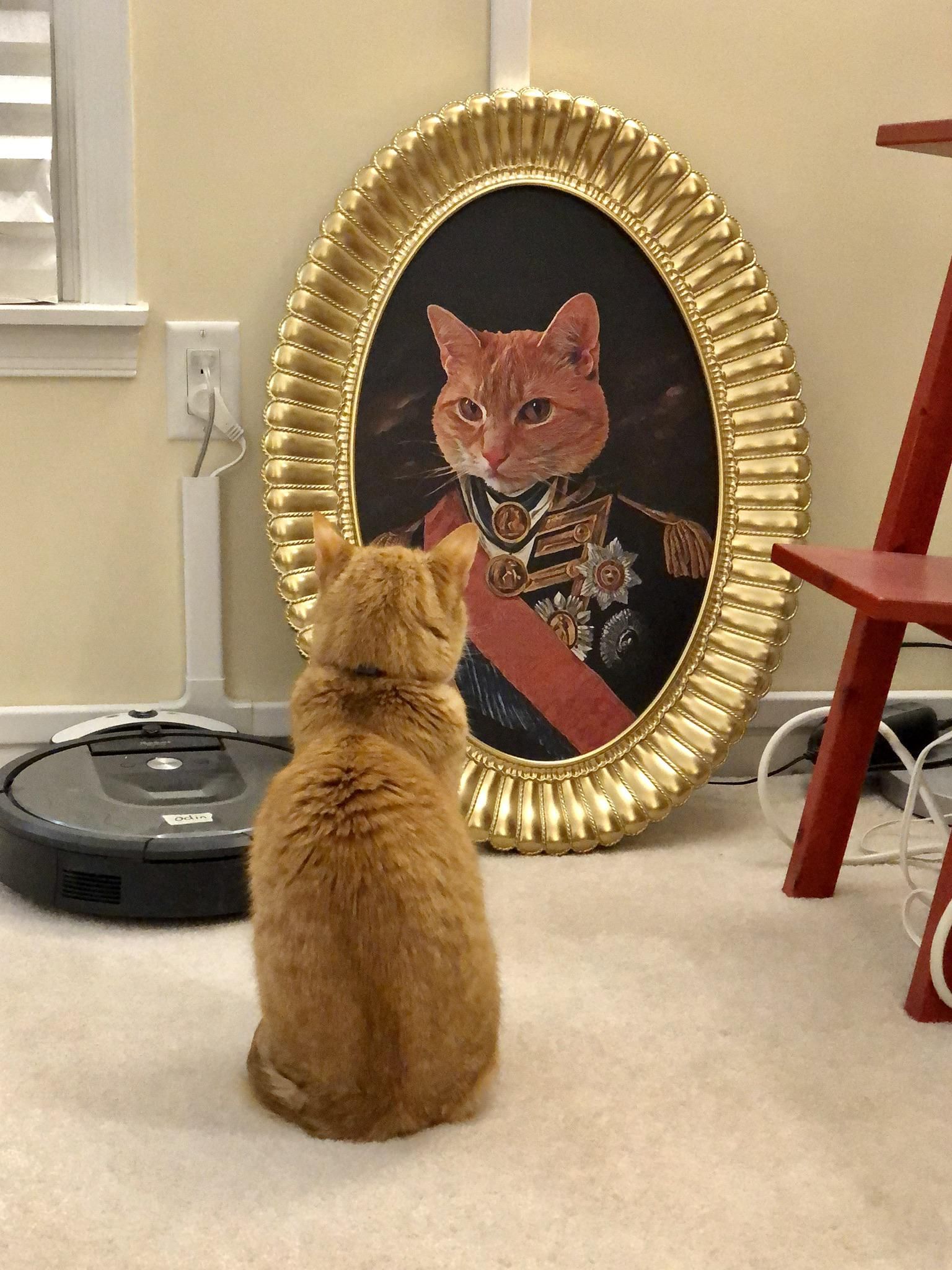 Wife asked if we could hang a picture of the cat in the hallway. Photoshop to the rescue!