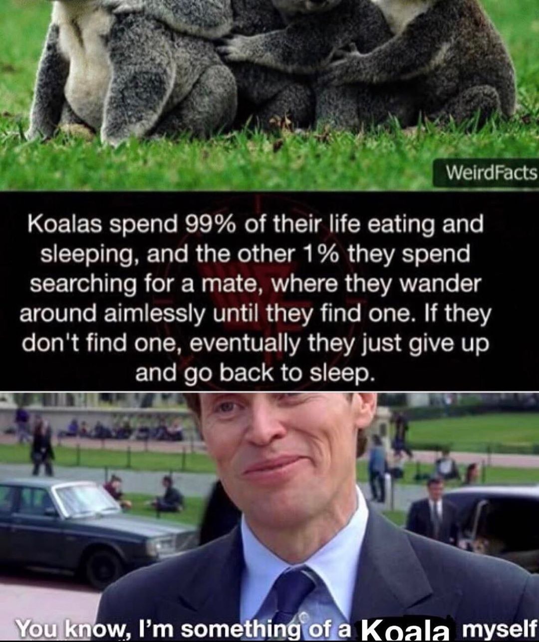 fakts