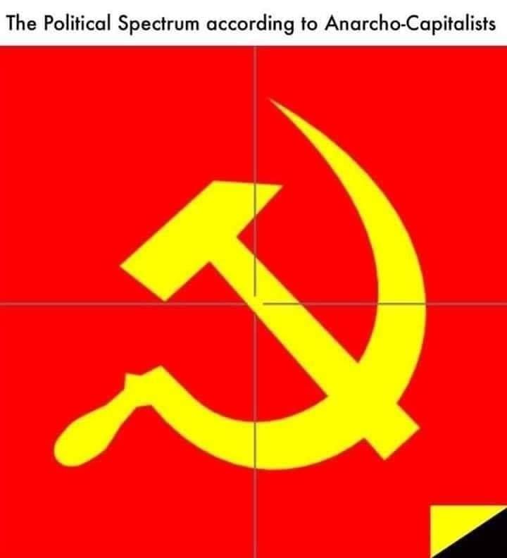 ancaps aren't really my brehs tho