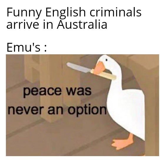 Haha birds