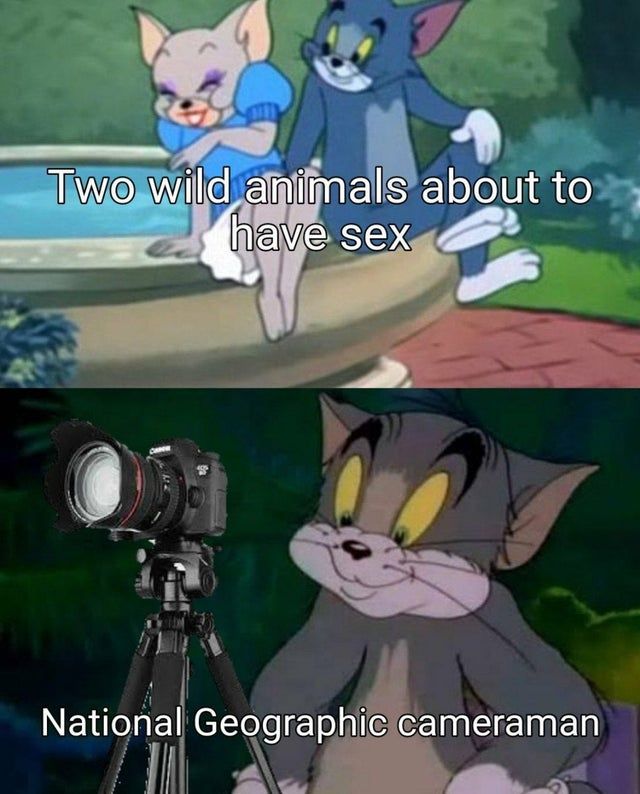 Nat Geo.... WILD