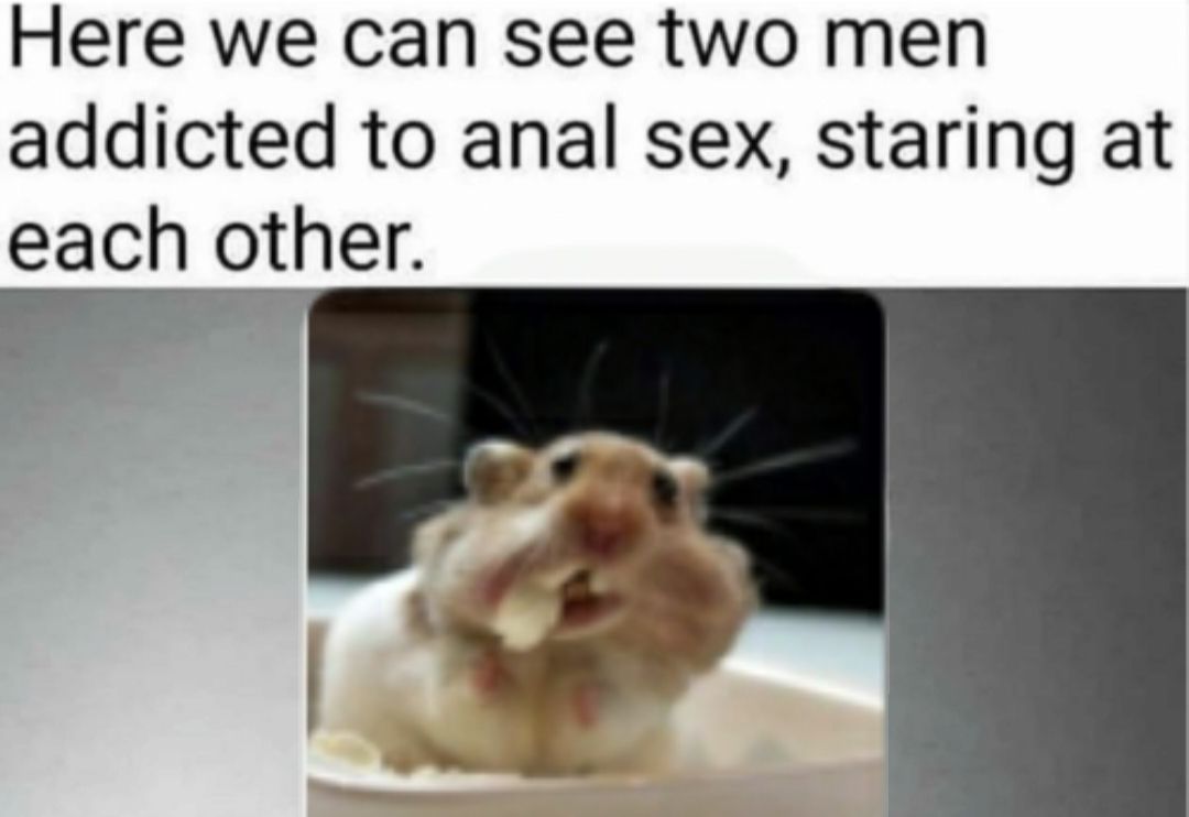 What are you doing after this?