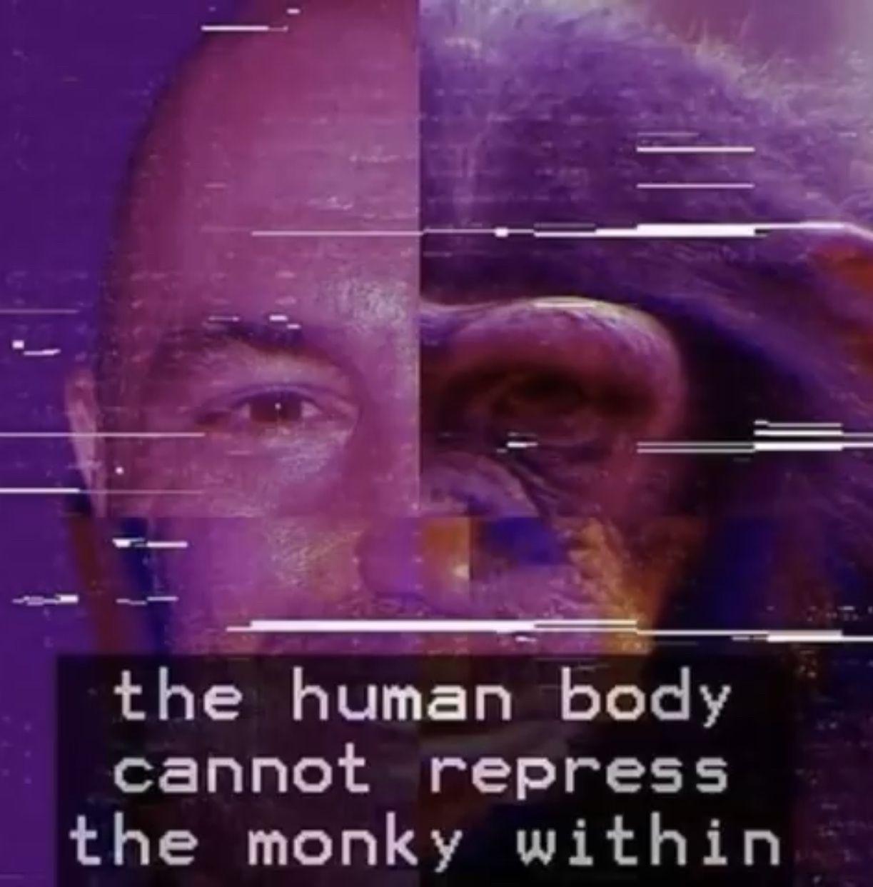 monke