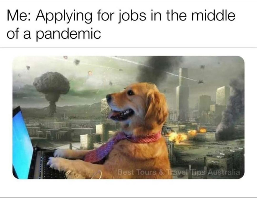 I would love to work for taco bell...