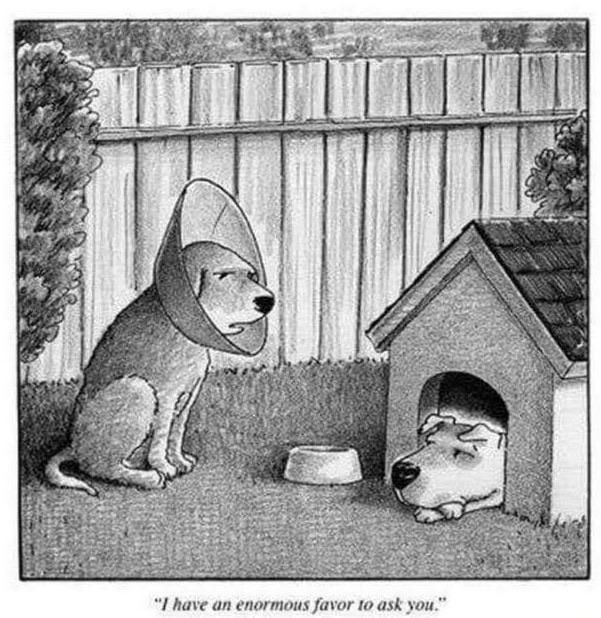 Rejected New Yorker Cartoon