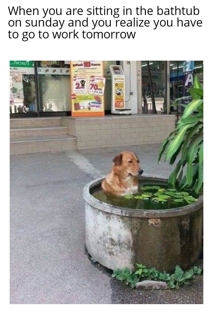 Feels