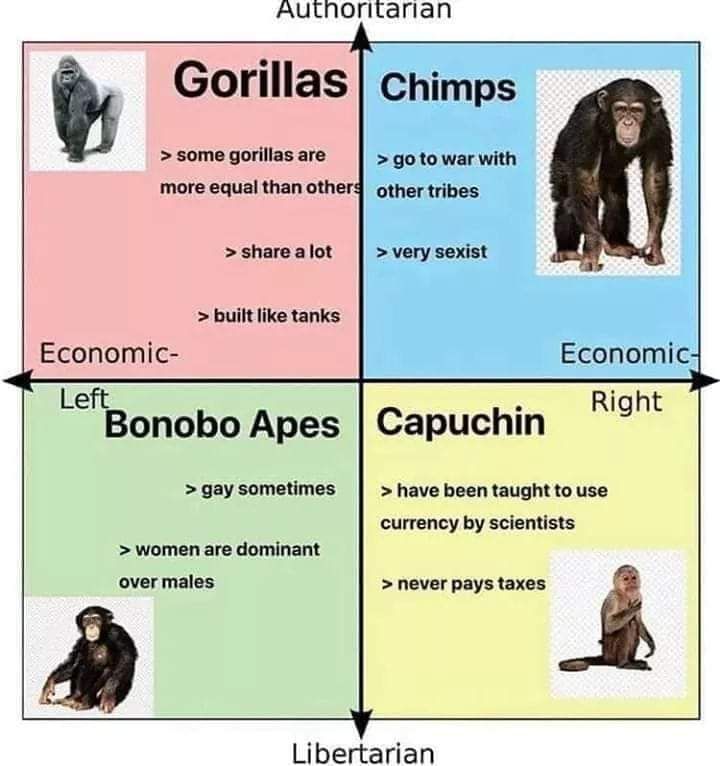 monke compass