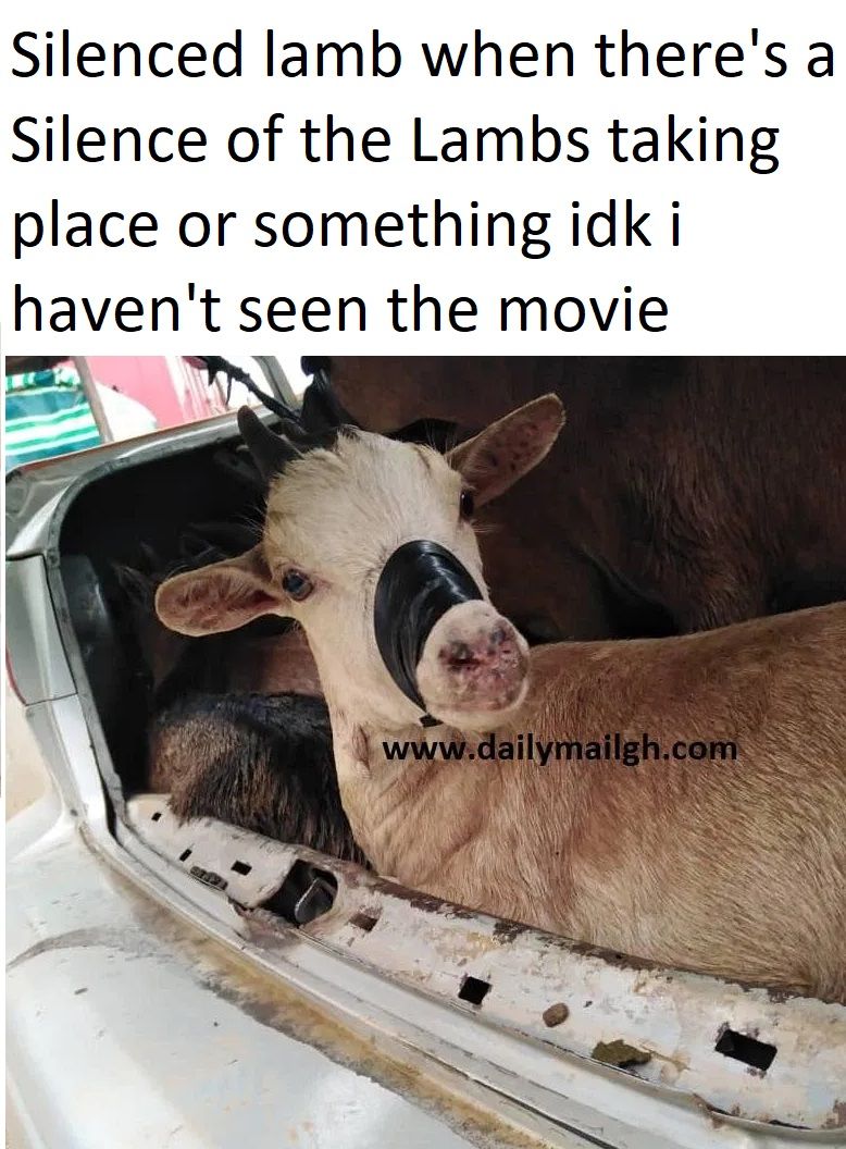 stop makin movies about animal abuse