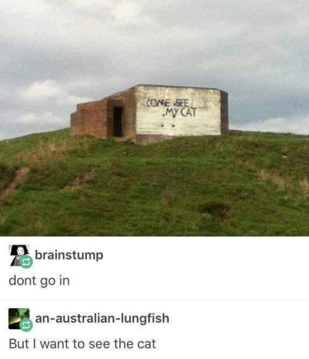 Don't you want to see him?