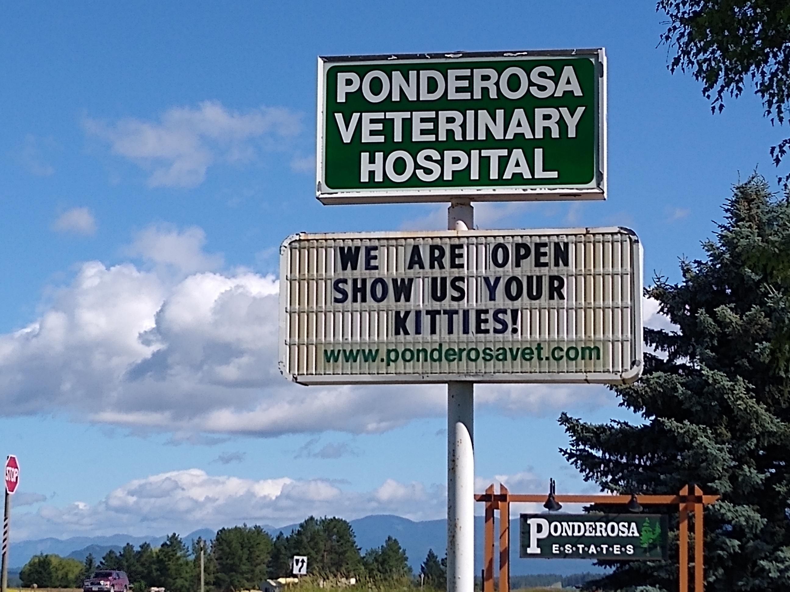 This sign at my Vet's office