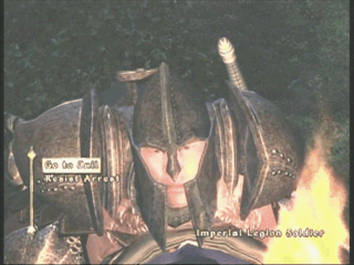 Just playing Oblivion when...