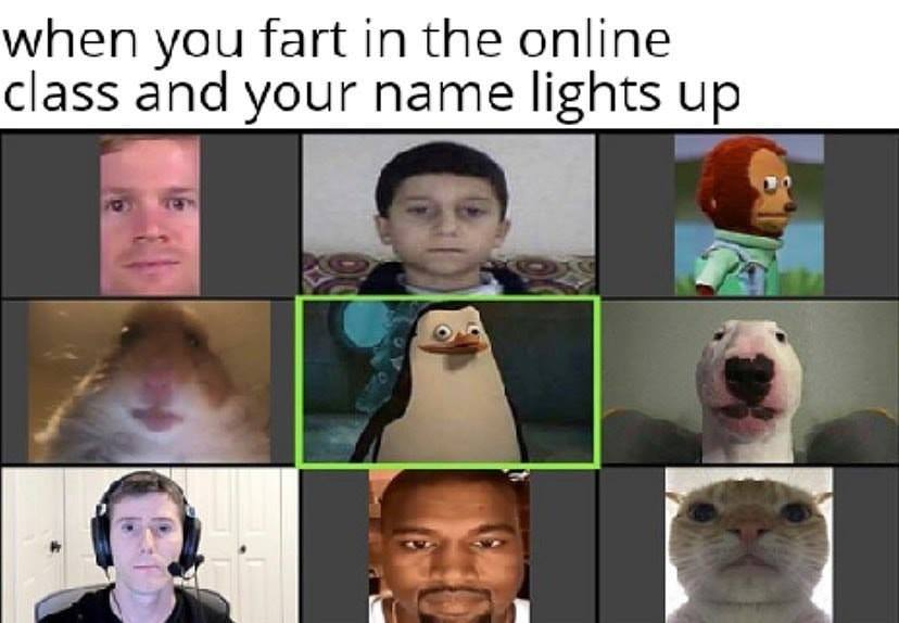 use the mute button brehs