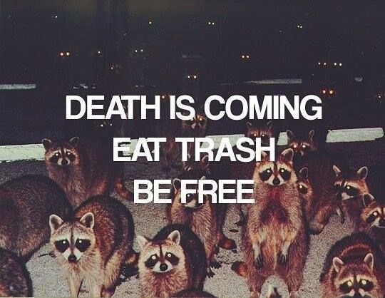 Repost