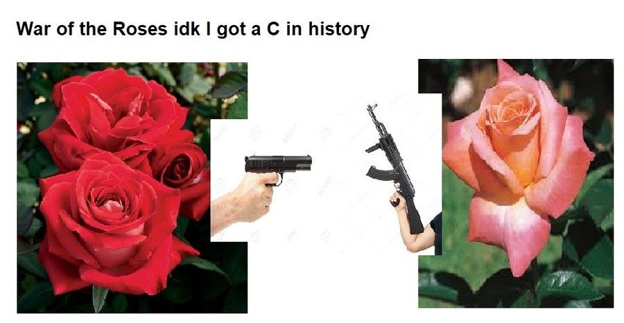 Every rose has its thorn