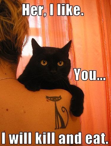 My GF's Cat is always like this