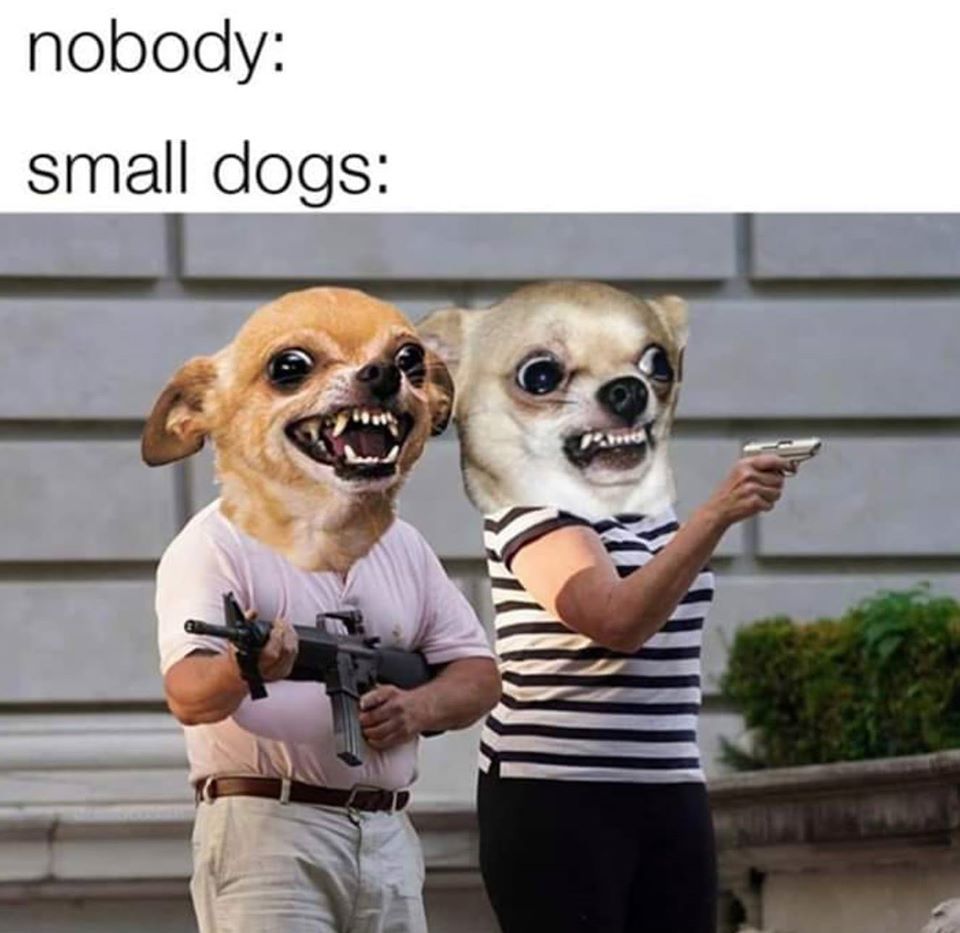 ARFARFARFARFARFARFARFARFARFARFARFARFARFARFARFARFARFARFARFARFARFARFARFARFARFARFARFARFARFARFARFARFARFA