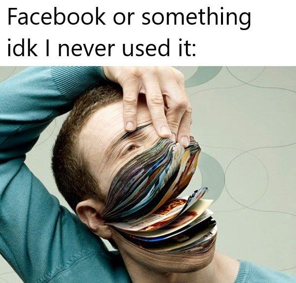 I prefer the bird