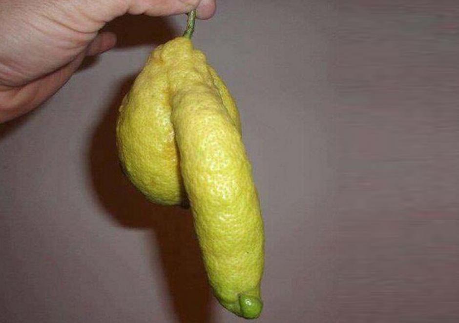 When life gives you lemons...