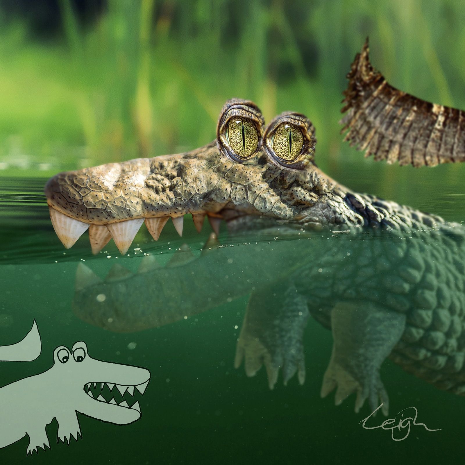 I photoshopped a drawing of a crocodile