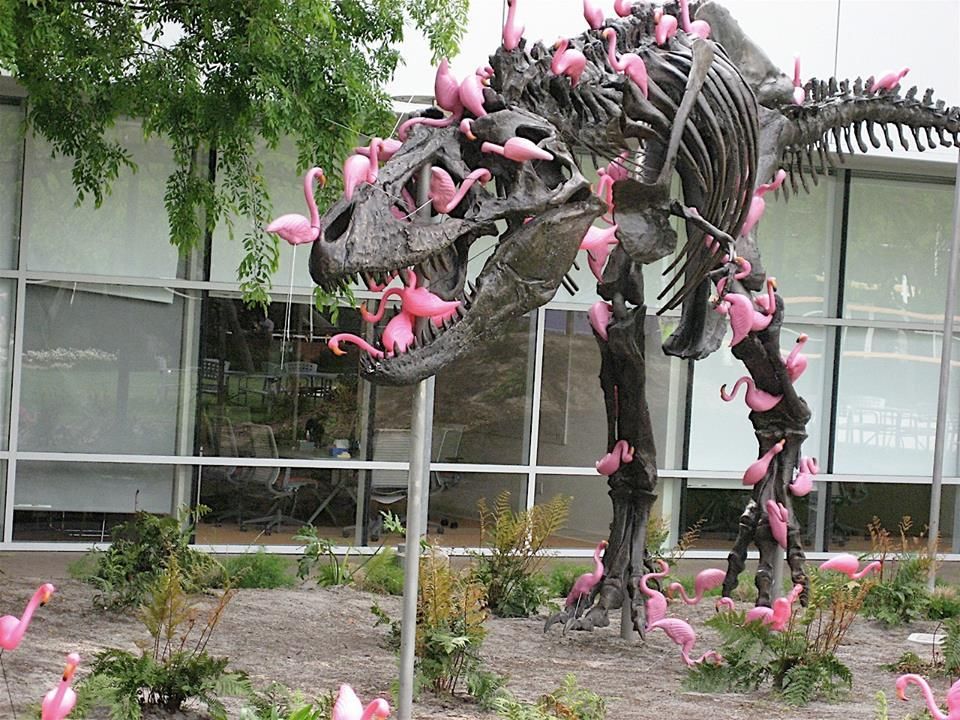 Fact: A flock of flamingos can pick a T-Rex clean in mere minutes!